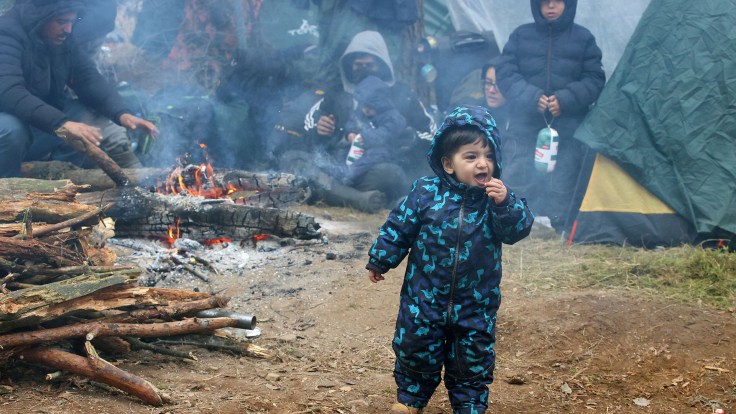 migrants migrants